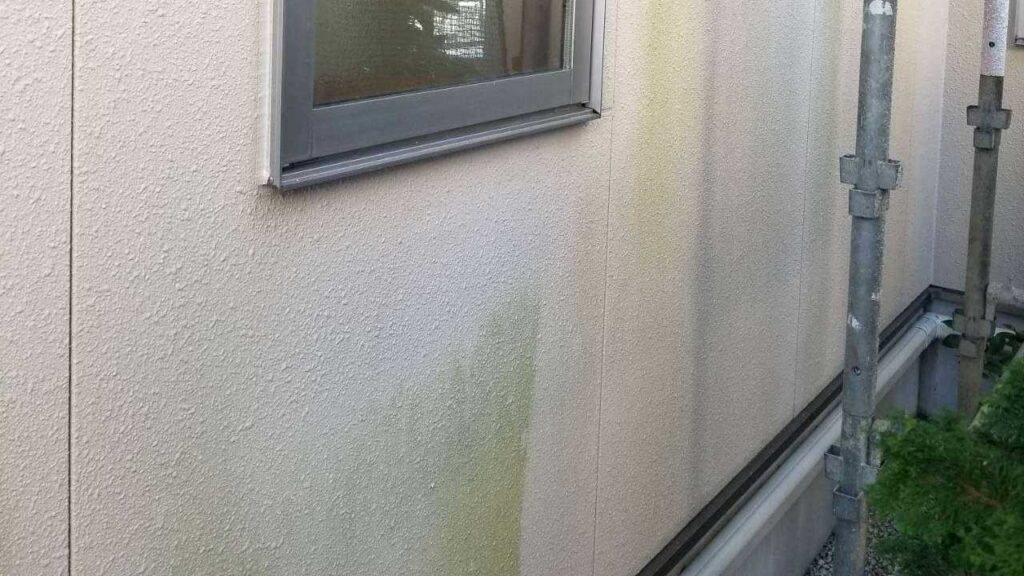 外壁の汚れと藻
